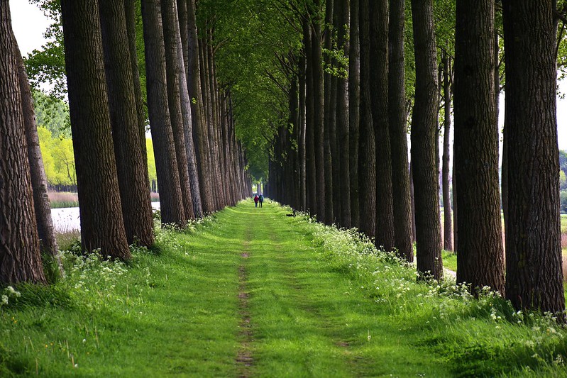 Damme wandelweg