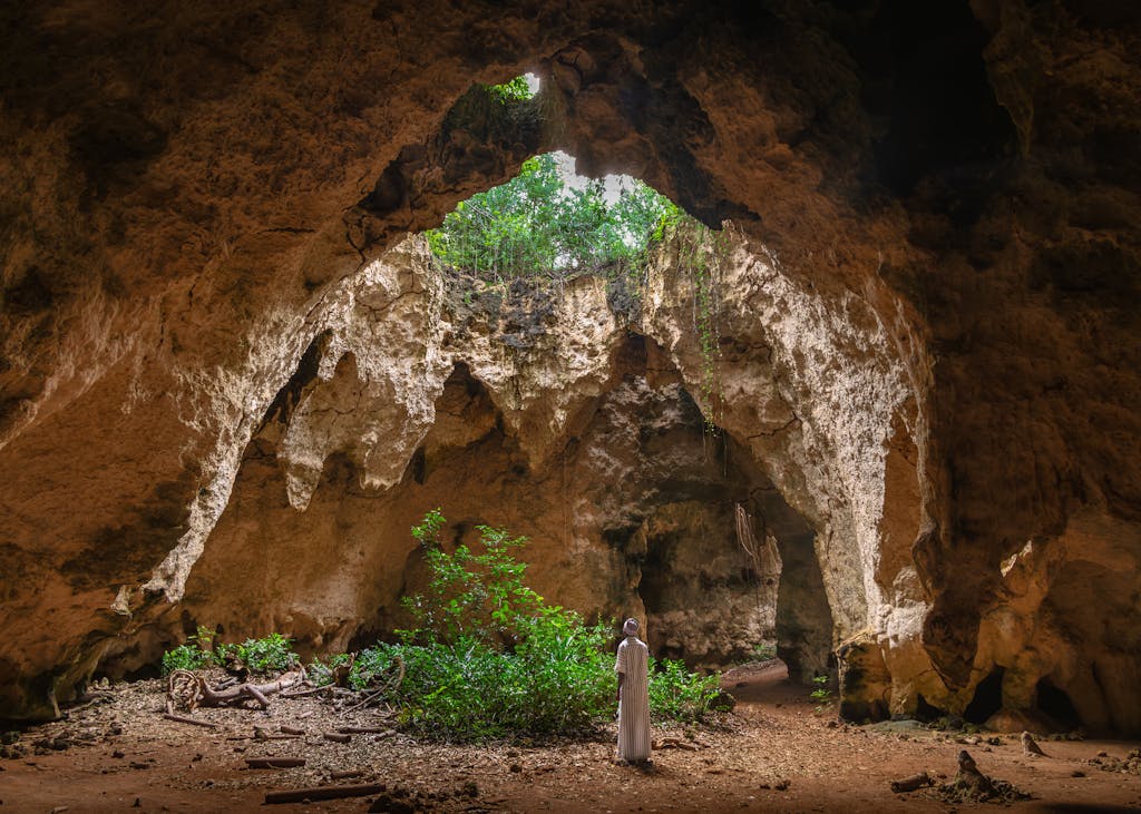 A lone adventurer explores a vast cave with lush greenery peeking through the ceiling.